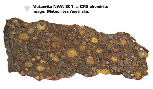 Meteorite NWA 801, a CR2 chondrite. Image: Meteorites Australia