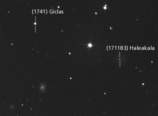 Giclas and Haleakala Asteroid in the night sky