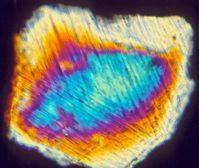Image of shocked quartz under polarised light - courtesy of the US Geological Survey